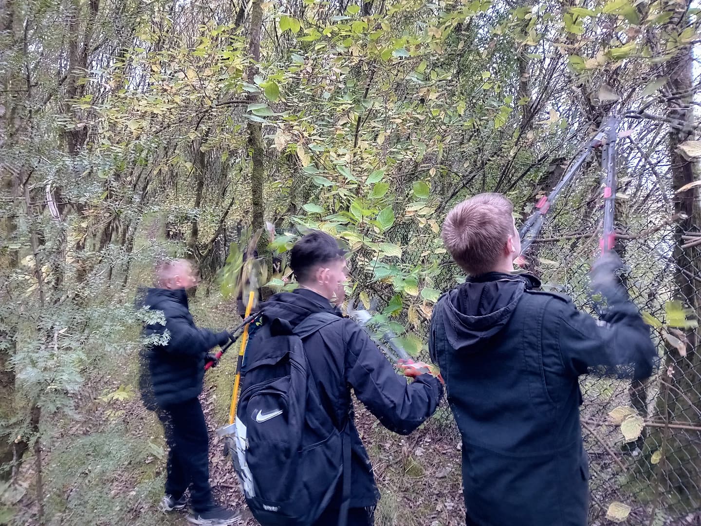 You are currently viewing IST: Conservation at Lochshore