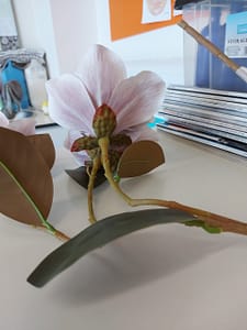 Read more about the article Art and Tech: Miss McKeown Interview