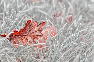 Read more about the article Welcome Back!