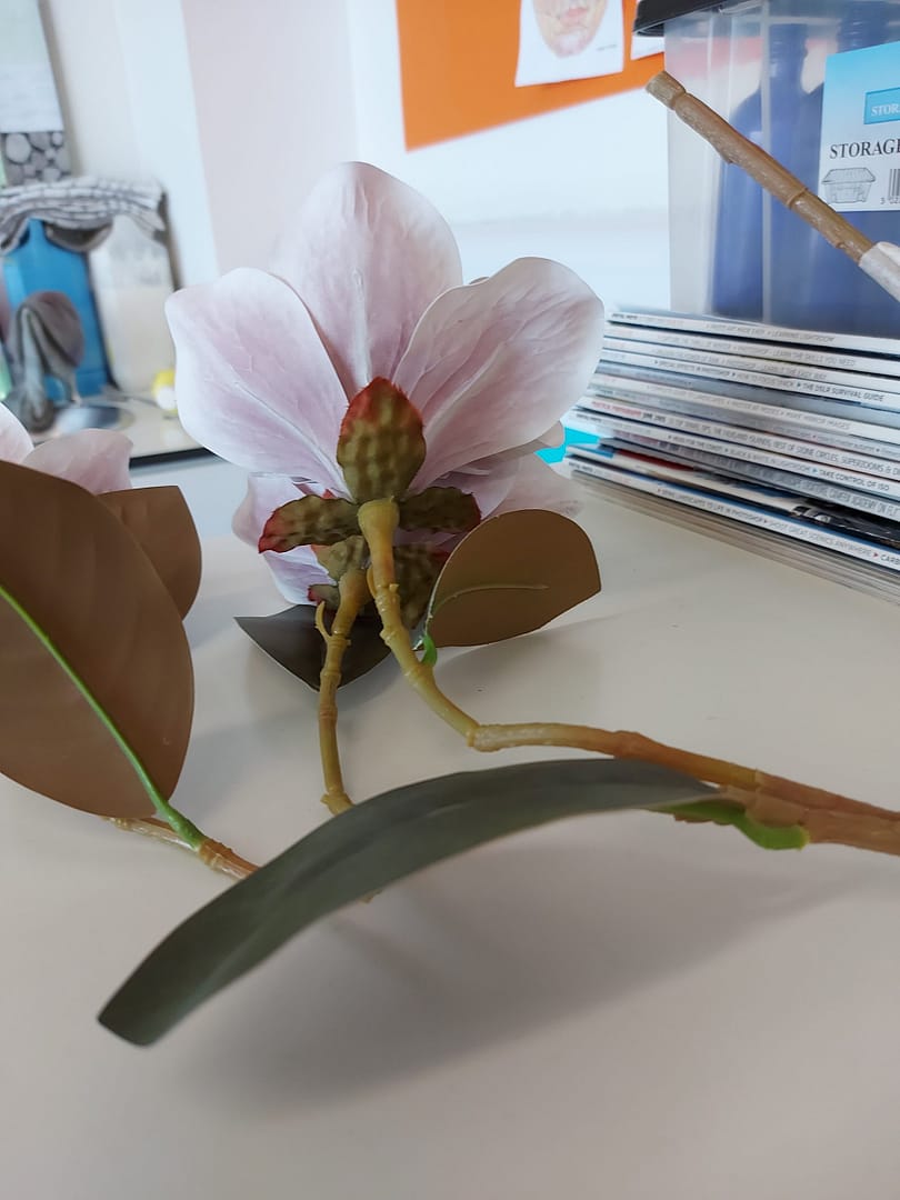 You are currently viewing Art and Tech: Miss McKeown Interview